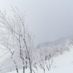 Hakuba Norikura backcountry scenery