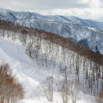 nozawa onsen mountain