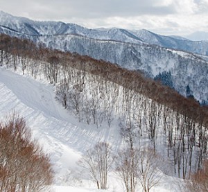 nozawa onsen mountain