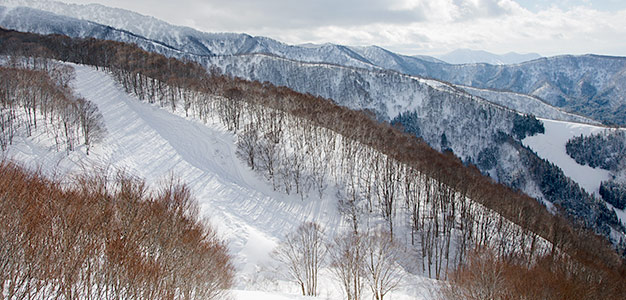 nozawa onsen mountain