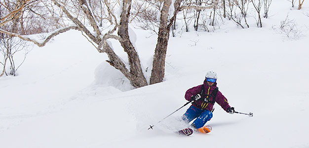 myoko akakura mountain skiing