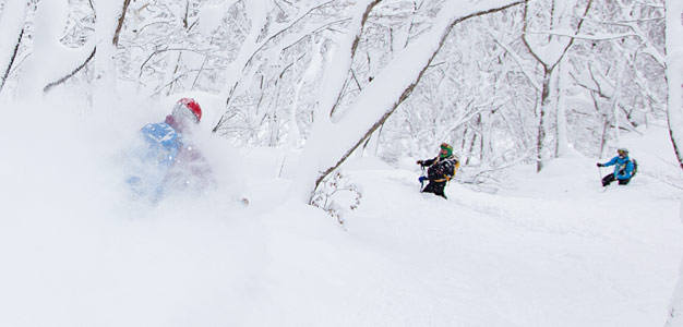 nozawa onsen puuteri