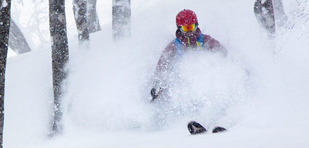 nozawa onsen offarit