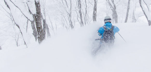 nozawa onsen offari