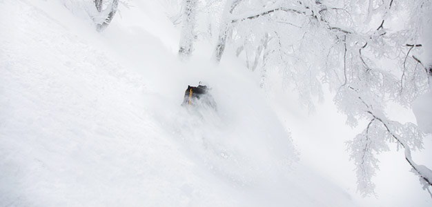 nozawa onsen powder
