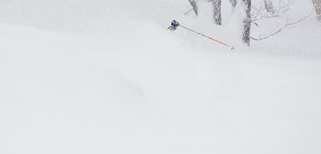 seki onsen powder