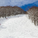 myoko akakura kanko hotel a ungroomed