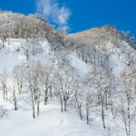 myoko offpiste