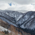 nozawa onsen scenery