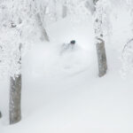 nozawa onsen off piste snowboarding