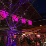 saalbach night life eva alm