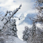 sainte foy tarentaise alps