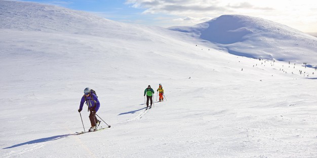 pallas vapaalaskuhiihtokoulu