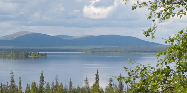 Sallan matkailu kasvoi tammi-kesäkuussa yli 30 prosenttia edelliseen vuoteen verrattuna. Kasvuvauhti on kovinta koko Lapissa, Ylen maanantaina julkaiseman uutisen mukaan vain Sodankylä ylsi samoihin lukuihin. Kaikki alkuvuoden kuukaudet olivat Sallassa plusmerkkisiä. Kasvun tuovat kova työ ja laadukas brändi.