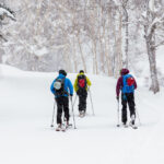 asahidake skinning