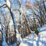 furano hokkaido offpiste hiking