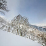 kiroro ski center backside off piste