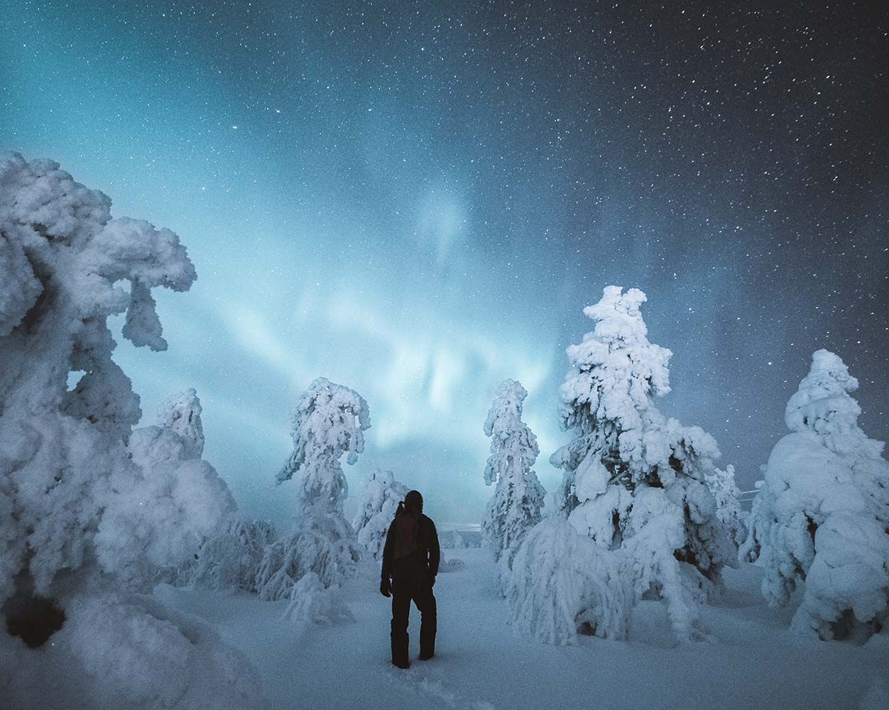 salla in the middle of snowhere joonas linkola talvi luonto