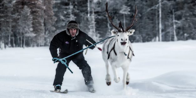 Sallassa järjestetään maaliskuussa Suuri Poroviikonloppu, joka täyttää Sallatunturin alueen poroteemaisella ohjelmalla.