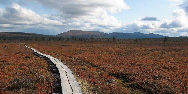 Suomen parhaat vaellusreitit - esittelyssä viisi vaihtoehtoa.