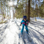 pääskyvuori metsäreitti