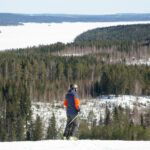 pääskyvuori maisemat