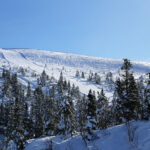 Trysil laskettelu