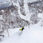 rusutsu powder skiing
