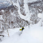 rusutsu powder skiing