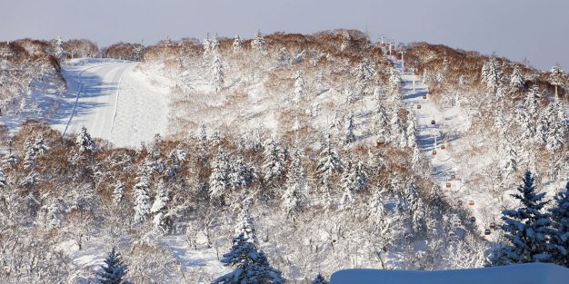 Sapporo Kokusai – Syvää lunta ja ruuhkattomia offareita