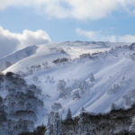 sapporo kokusai backcountry terrain