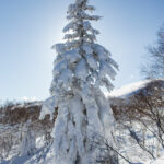 sapporo kokusai scenery