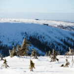 Sälen Tandådalen hundfjället