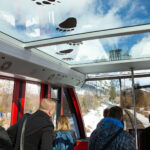 Vysoke Tatry Stary Smokovec train