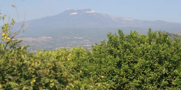 Italian Sisiliassa sijaitseva Etna kurkottaa taivaita komeasti yli kolmessa kilometrissä. Mitä tulivuori ympäristöineen voi tarjota liikkujalle?