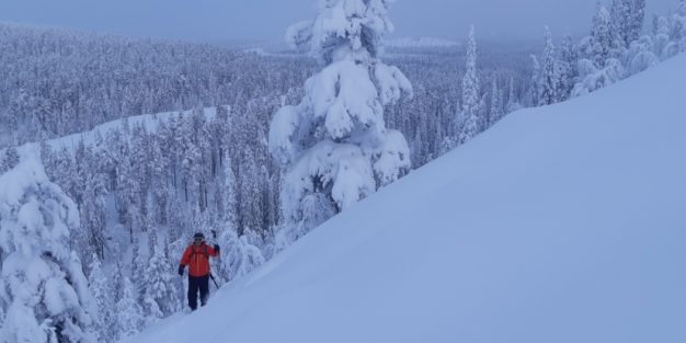 Positiivinen asenne ja myönteisten asioiden löytäminen vaikeina aikoina auttaa selviämään isoistakin haasteista. Tässä artikkelissa pohditaan, mitä myönteisiä vaikutuksia pandemialla on ollut Suomessa. Jokainen voi jutun luettuaan pohtia, millaisia asioita jäi puuttumaan ja mitä voisi itse toteuttaa tai on jo toteuttanut.
